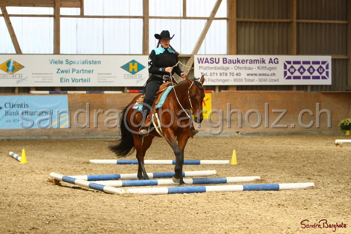 28-ApHC OT_341.jpg